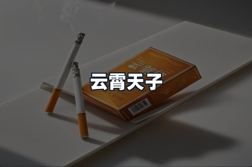云霄天子